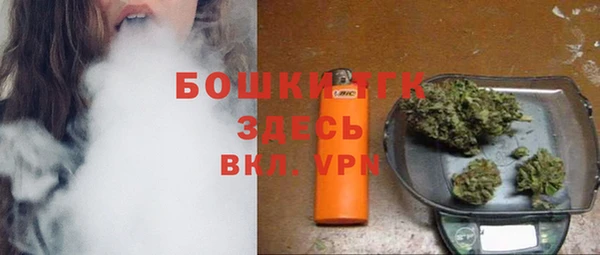 мет Алексин