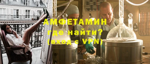 мет Алексин