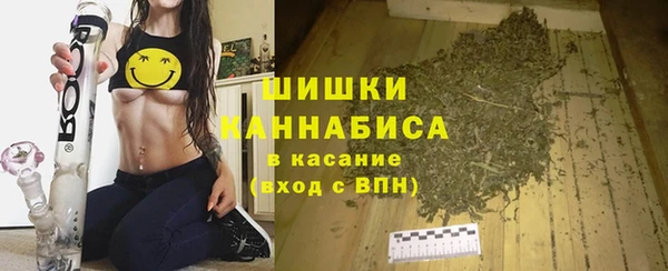 дурь Алзамай